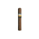 Cohiba Maduro 5 Secretos Einzeln