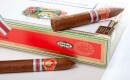 Saint Luis Rey Belicoso  Edición Regional Exclusivo Alemania